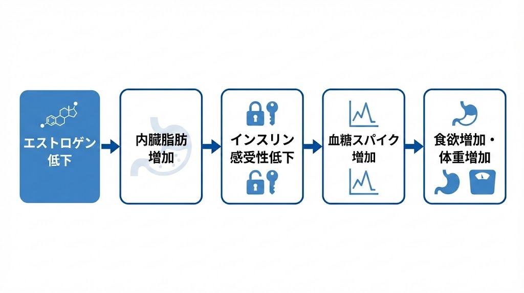 更年期にエストロゲンが低下すると内臓脂肪が増え、インスリン感受性が低下して血糖スパイクが起こりやすくなり、食欲と体重が増加するメカニズム